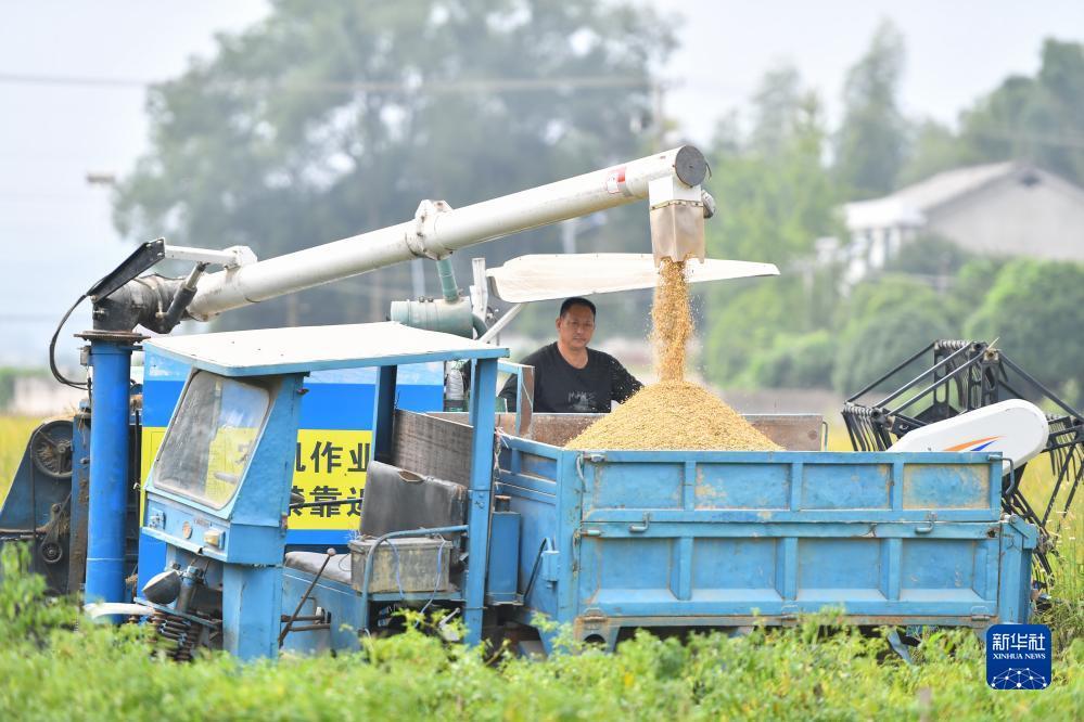 fg游戏网